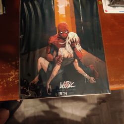 Spiderman Art Picture