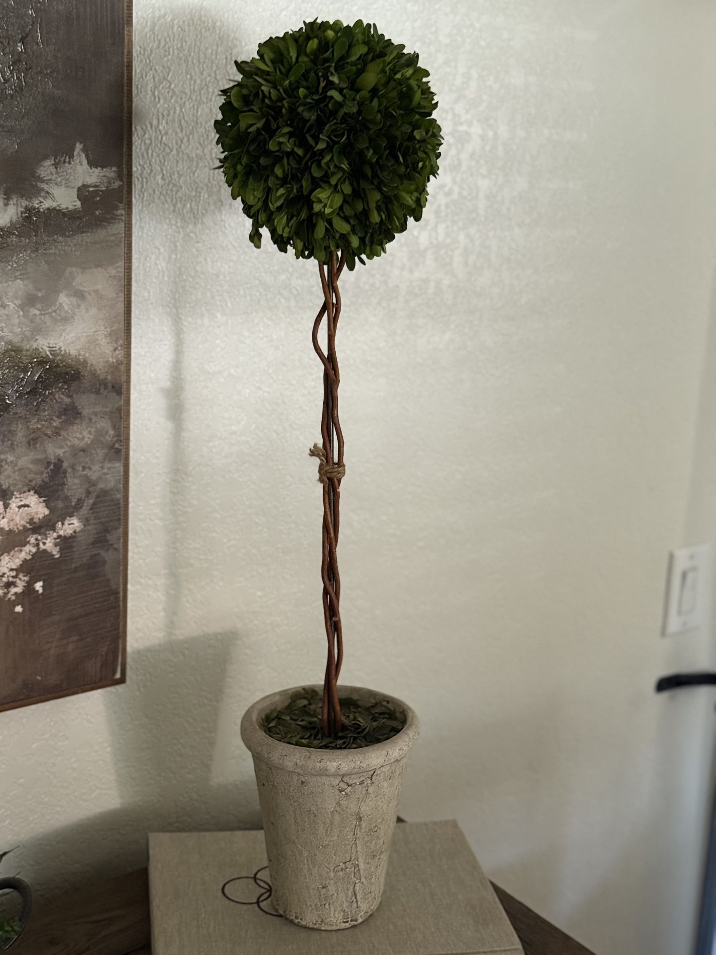 Pottery Barn Topiary Decor