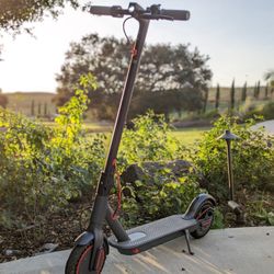 New Pro Electric Scooter , E Bike , Bicycle For Your Weights 