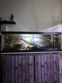 Fish Tank & Stand