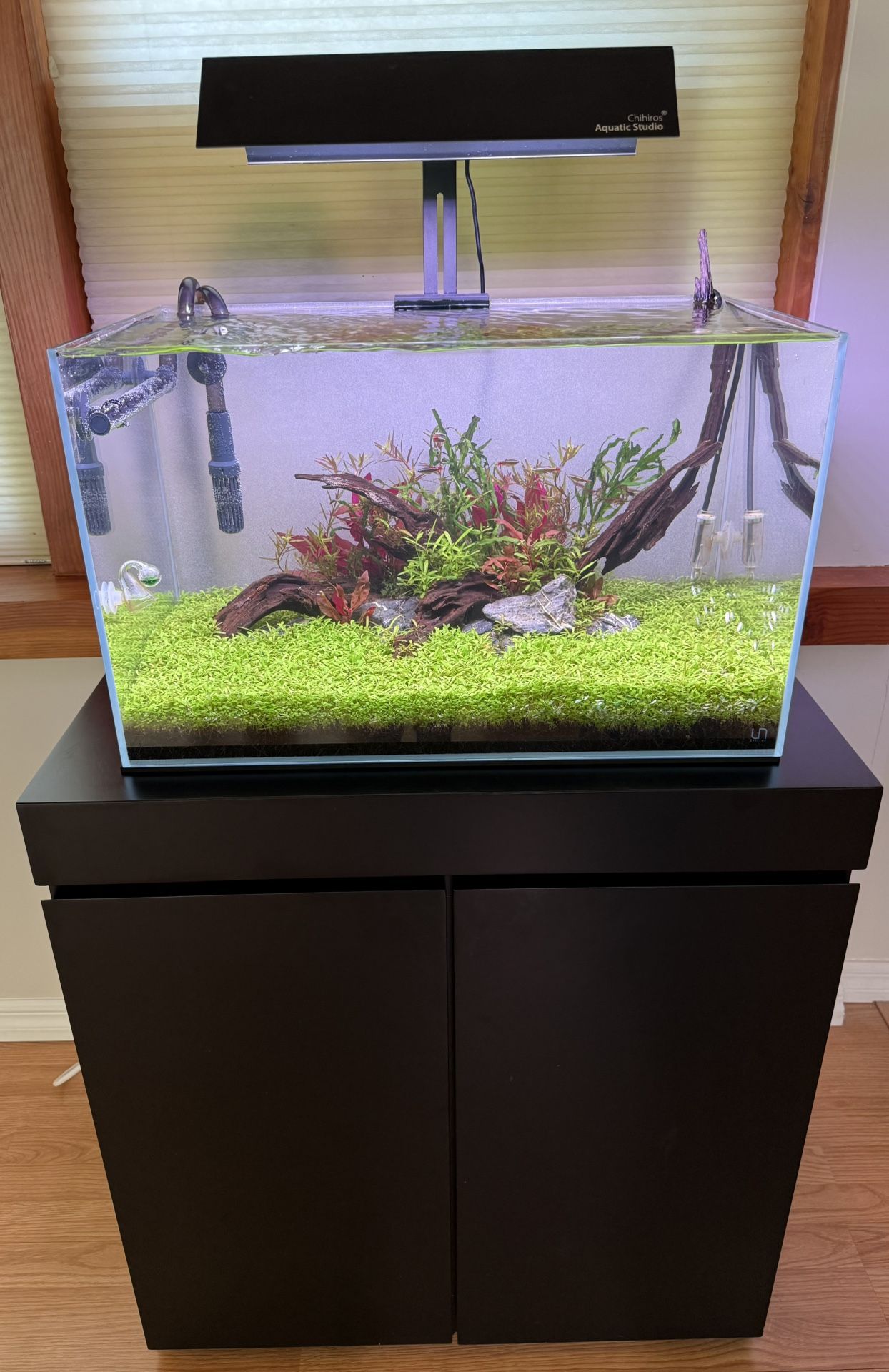 20.5 Gal Planted Tank β UNS + ADA + CO2 + Filter + Stand β Turnkey Setup