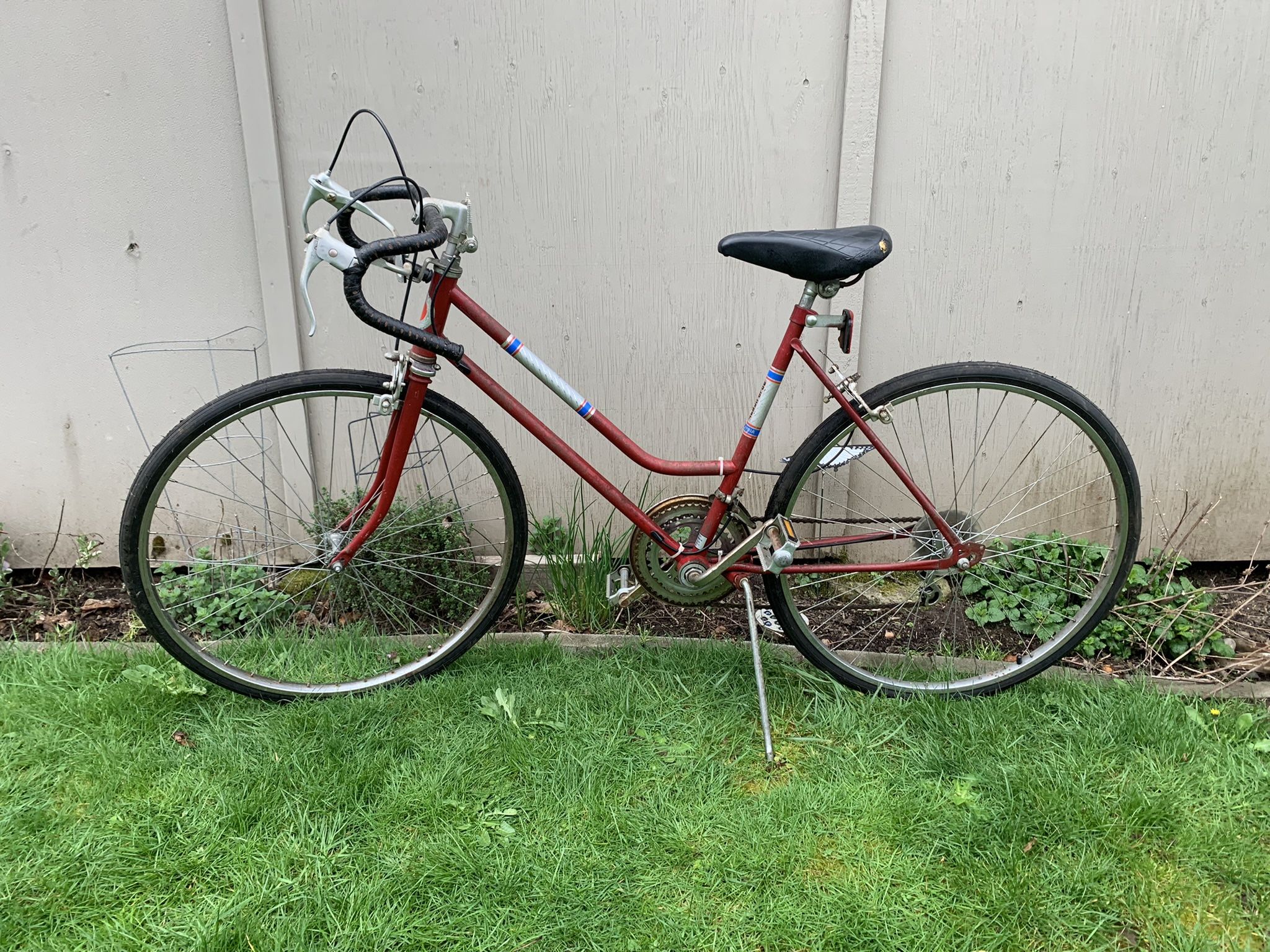 Vintage Gold Crest Road Bike $50 Art Project Collectible
