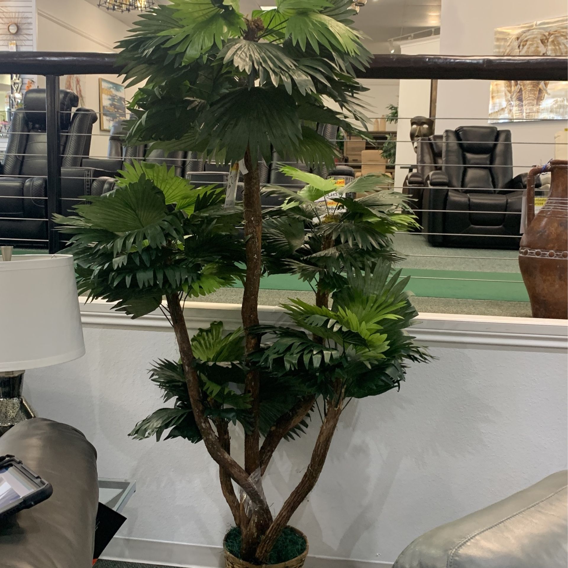 Palm tree