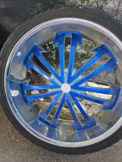 Lexani 26"