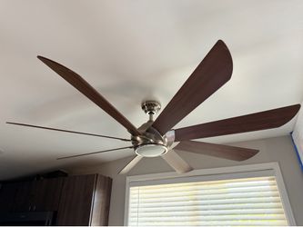 70” Fan with light