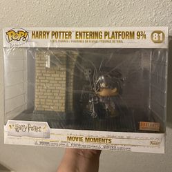 Harry Potter Funko Entering Platform