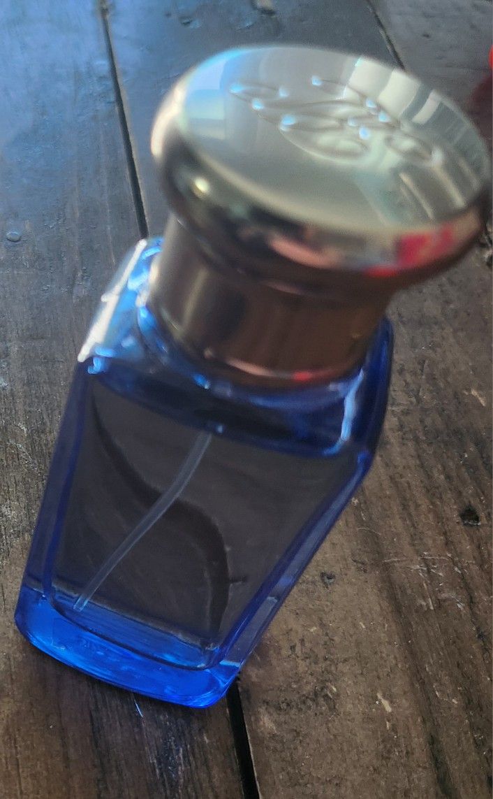 Ralph Lauren Blue