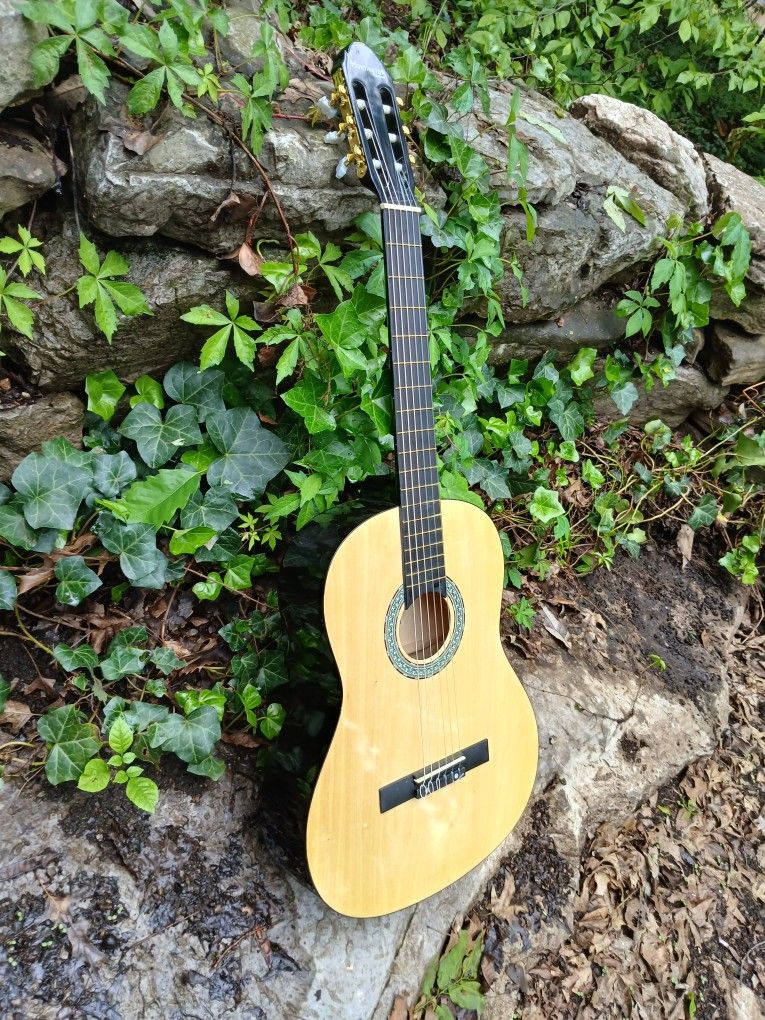Brand New Classical Nylon String Acoustic Guitar