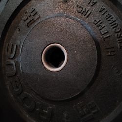Rogue 45lbs bumper Weights