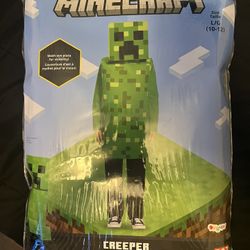 Minecraft Halloween Costume -Last Minute Costume