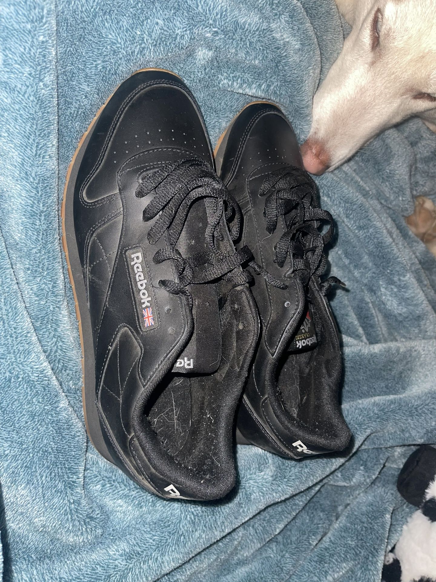 Men’s Reebok Shoes