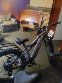 Used new puckipuppy Labrador ebike forsale