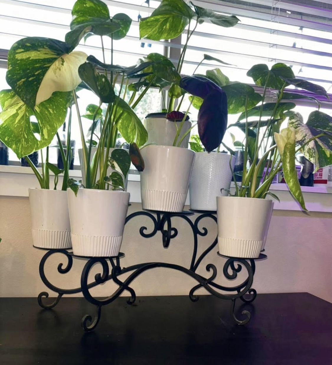 Candle Stand Without Plants And Pots