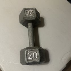 Single 20 Pound Dumbbell Weight 