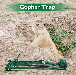 Gopher Trap