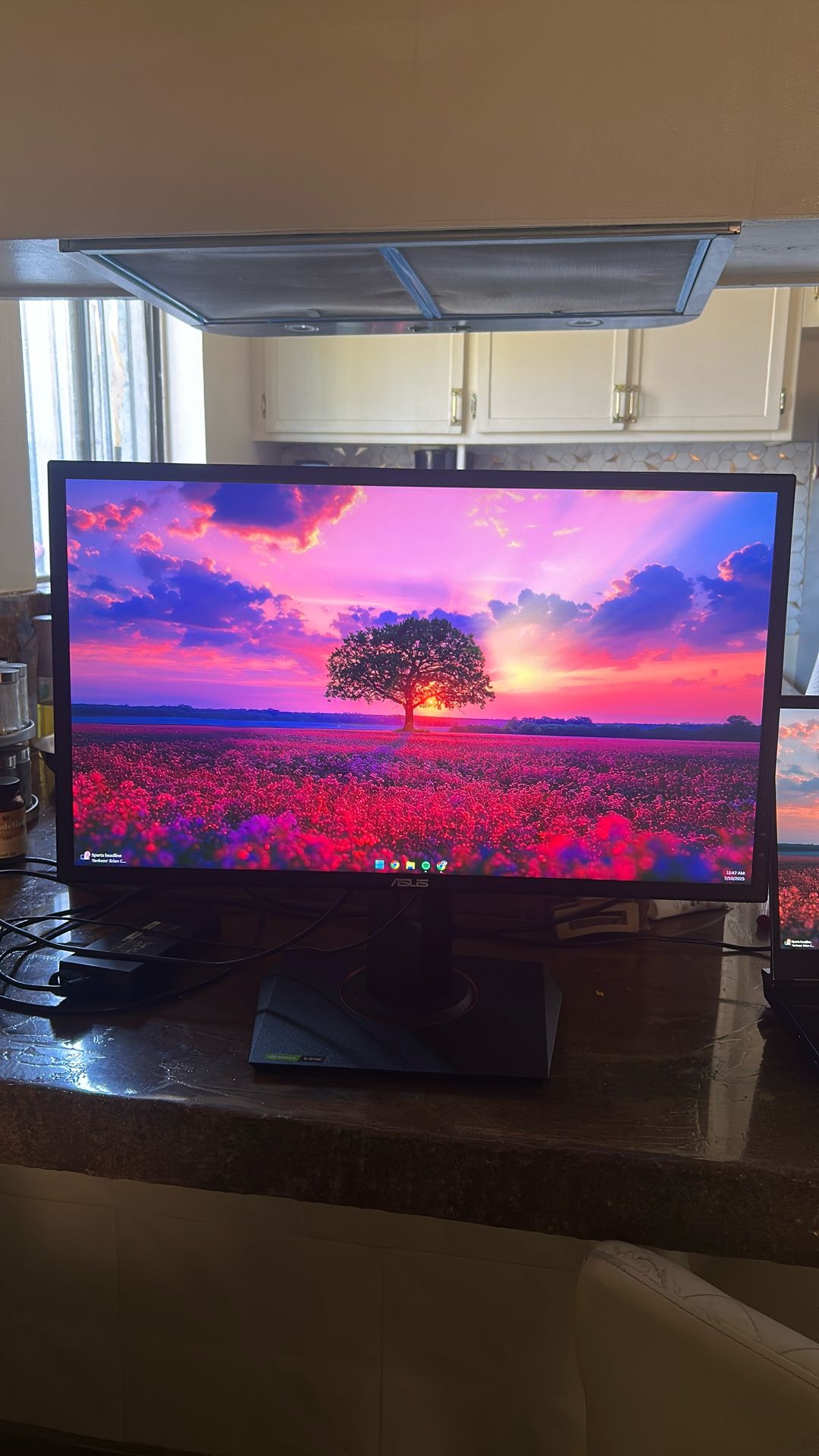 165Hz 1080p ASUS VG248QG 24" G-SYNC Gaming Monitor  0.5ms Eye Care with DP HDMI DVI,Black