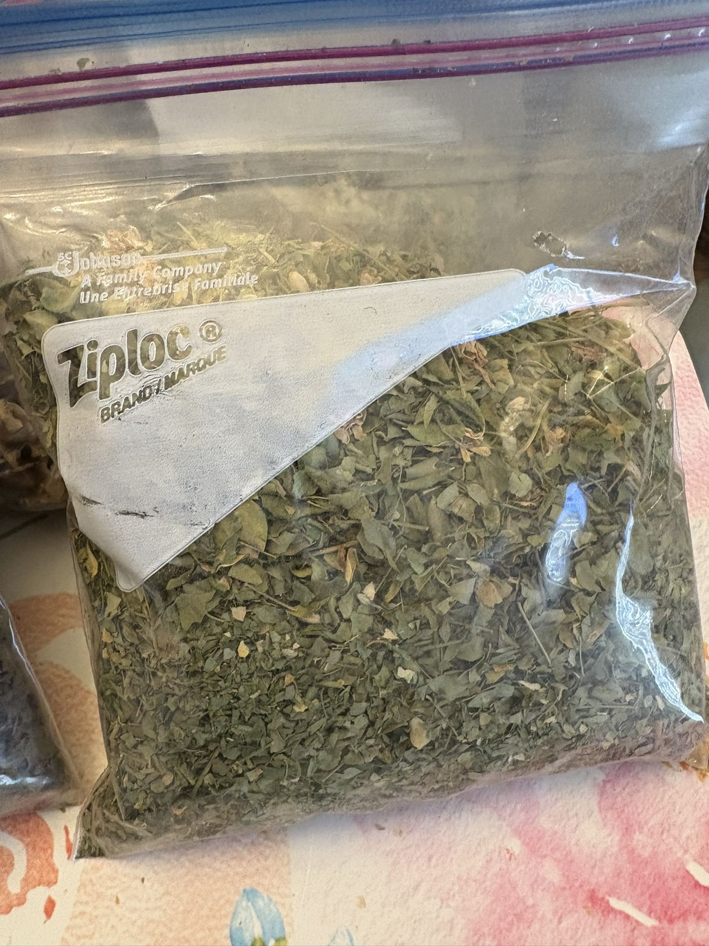 Moringa Leaves