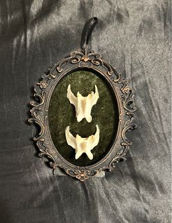 Vertebrae picture frame