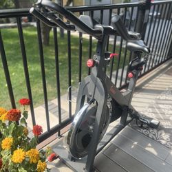 Sunny Pro Cycling Exercise Bike  