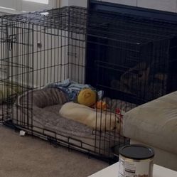 XL Dog Crate