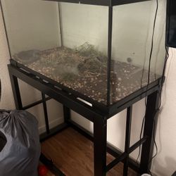 40 Gallon Tank With Stand And Accessories 