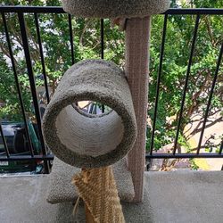CAT TREE (HEAVY) $10