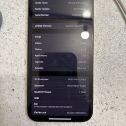 iPhone 16 Pro Max