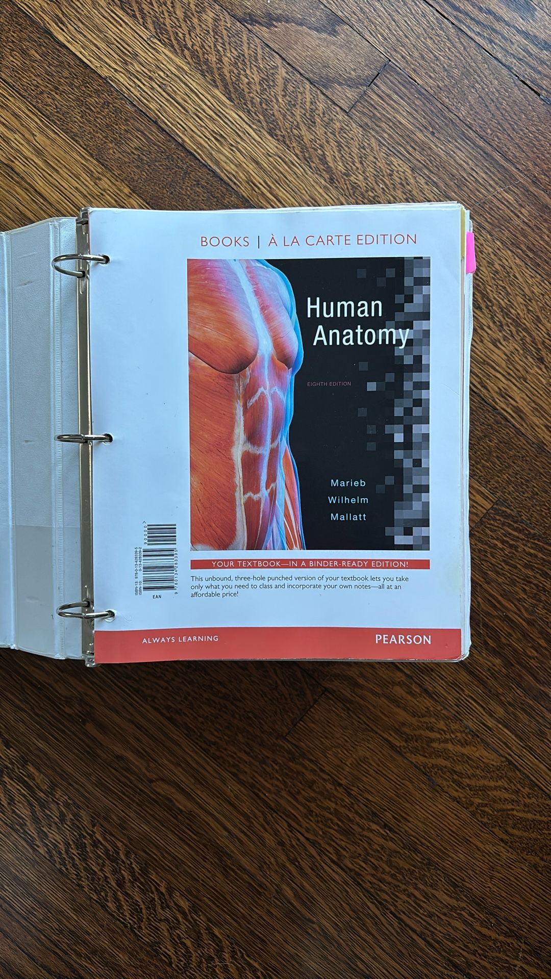 Human Anatomy (8th Edition) In a Binder Ready Edition - Marieb Wilhelm Mallat