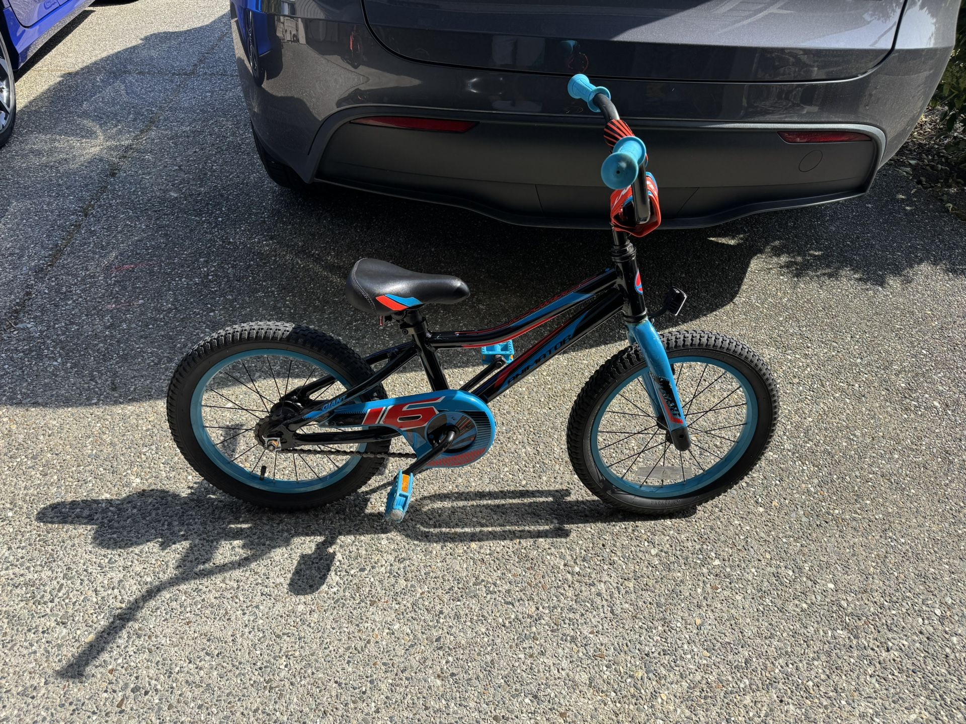 Giant Animator Kids Bike