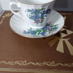 CROWN VICTORIAN FINE BONE CHINA ENGLAND PORCELAIN TEA CUP AND SAUCER SET