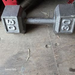 30lb Dumbells 