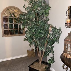 Tall Faux/Fake Ficus Tree