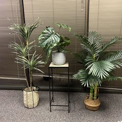 Plants And stand 