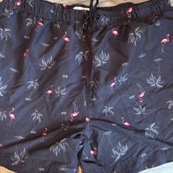 Men’s Flamingo Swim Trunks