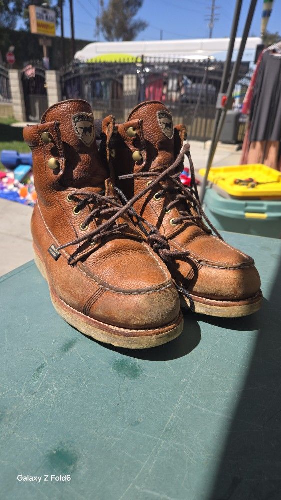 Red Wings Irish Setters
