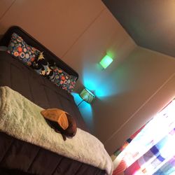 Sharing My Cozy Davie Home 