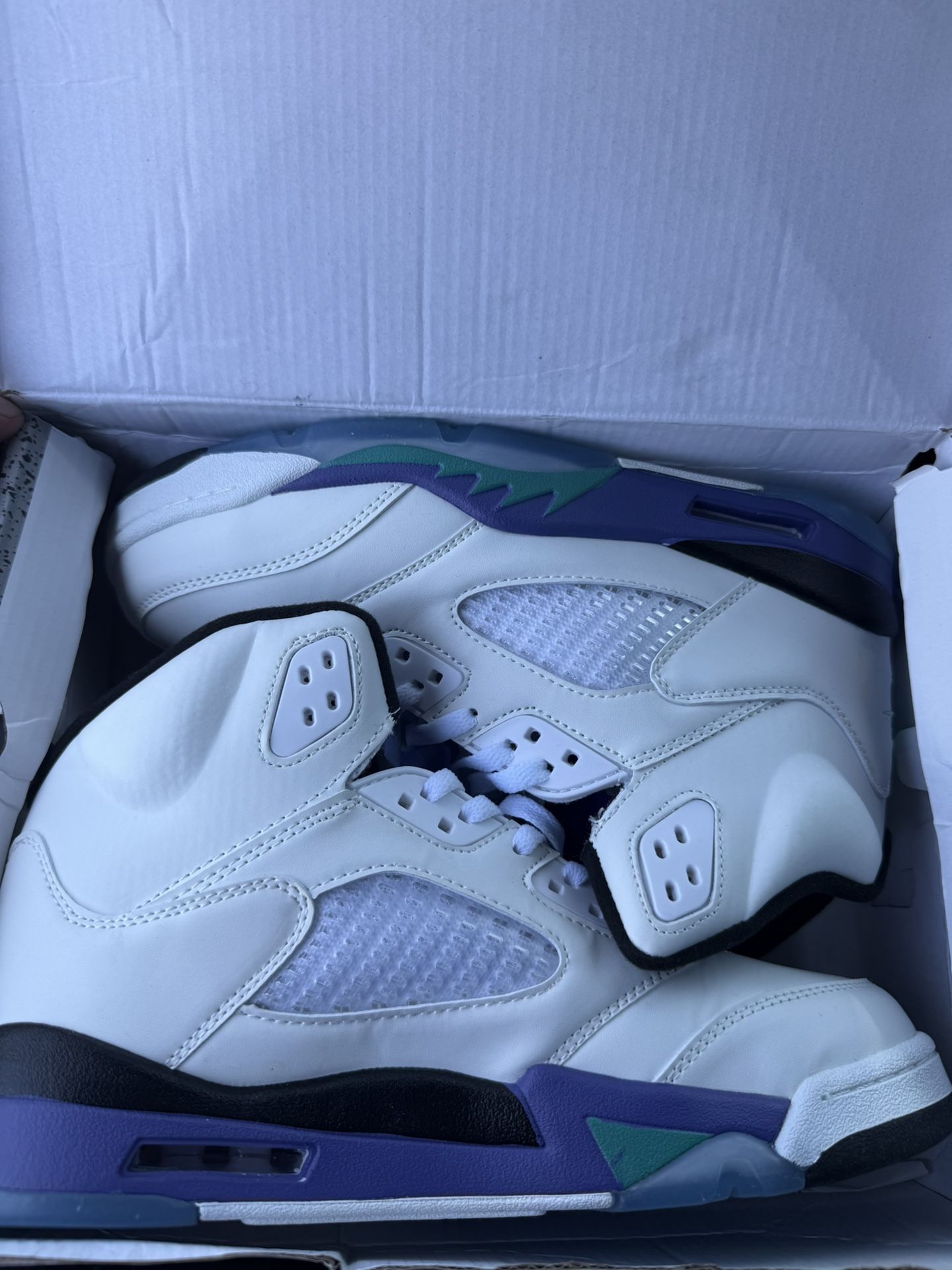 Jordan 5s Grape Size 10