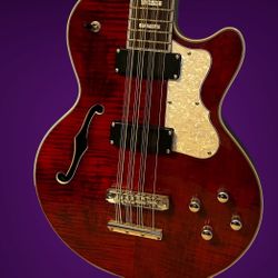 Waterstone TP-2 12 String Bass W/ Hardshell Case 