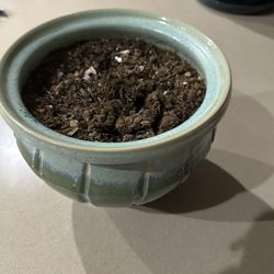 Plant Pot $10 