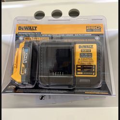 20 V Lithium Dewald Charger 