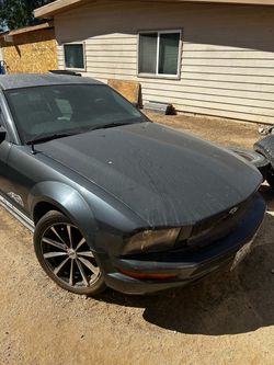 2005 Mustang Parts car