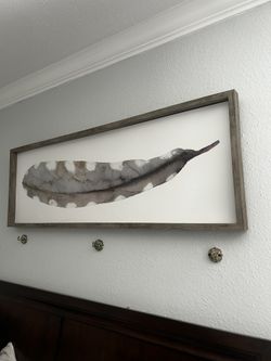 Feather Picture