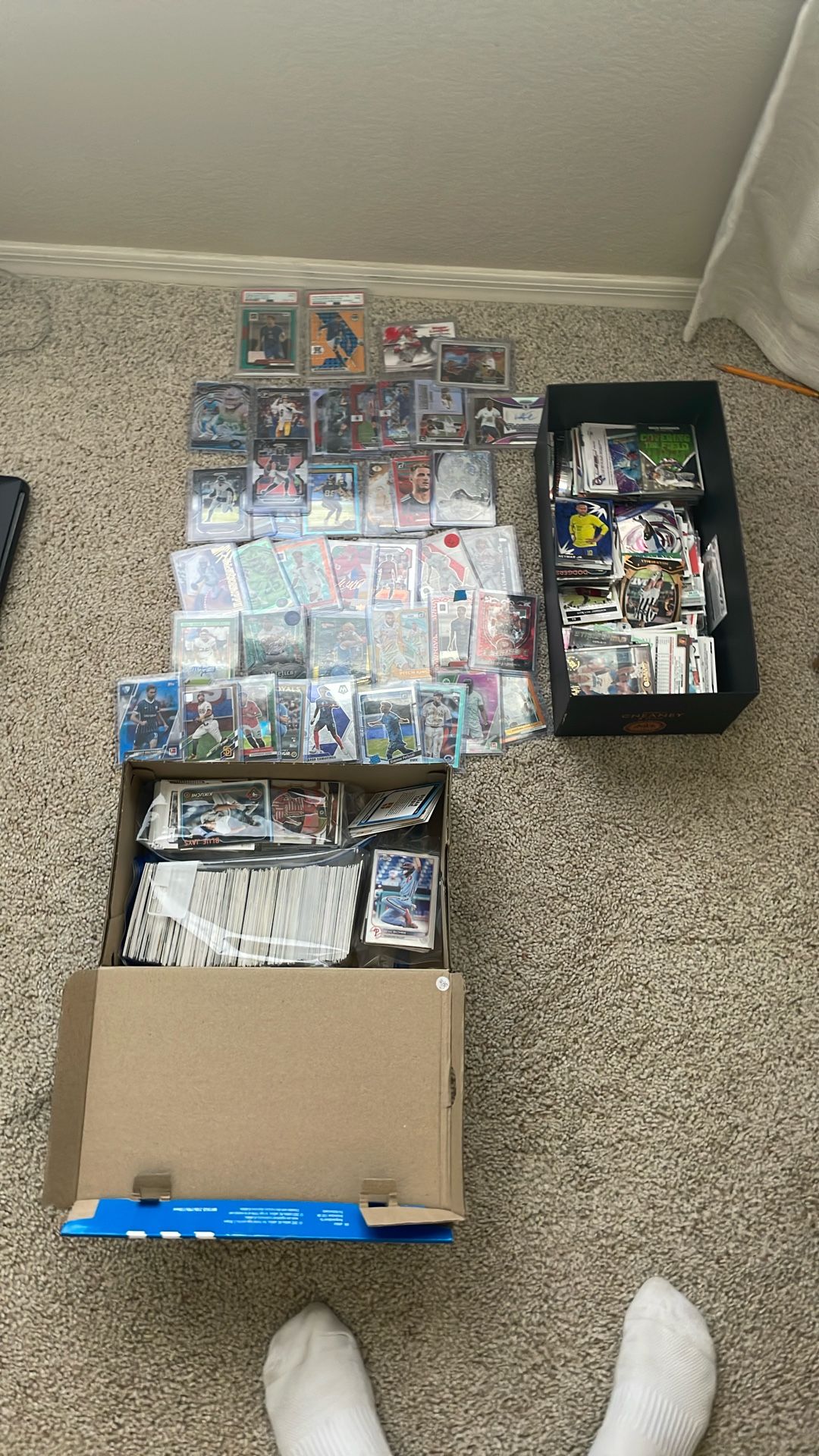 Sports Card Collection