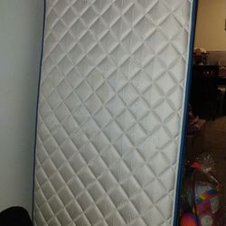 Twin Size Mattress 