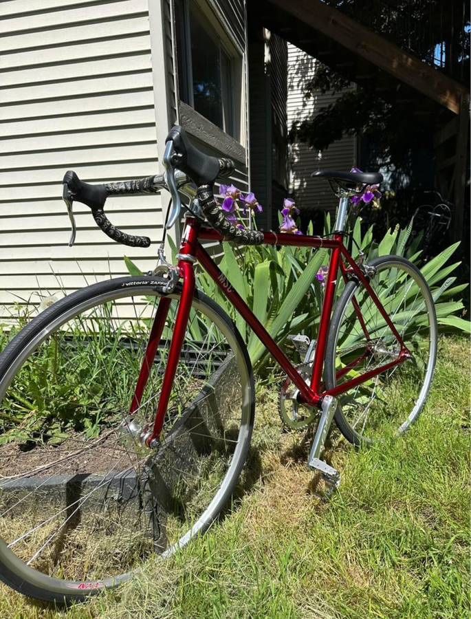 MSC mott street cycles 50cm single speed bicycle