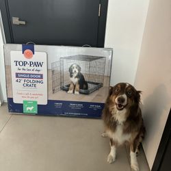 Brand New 42” Dog Crate – Top Paw Folding Large (Unused in Box) 