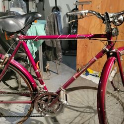 Free Spirit (Brittany) Bicycle 