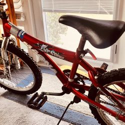 20” Magna Bike For Kids 