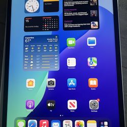 APPLE IPAD PRO M2 6TH GEN 256GB