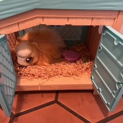 Toy Guinea Pig House/babies